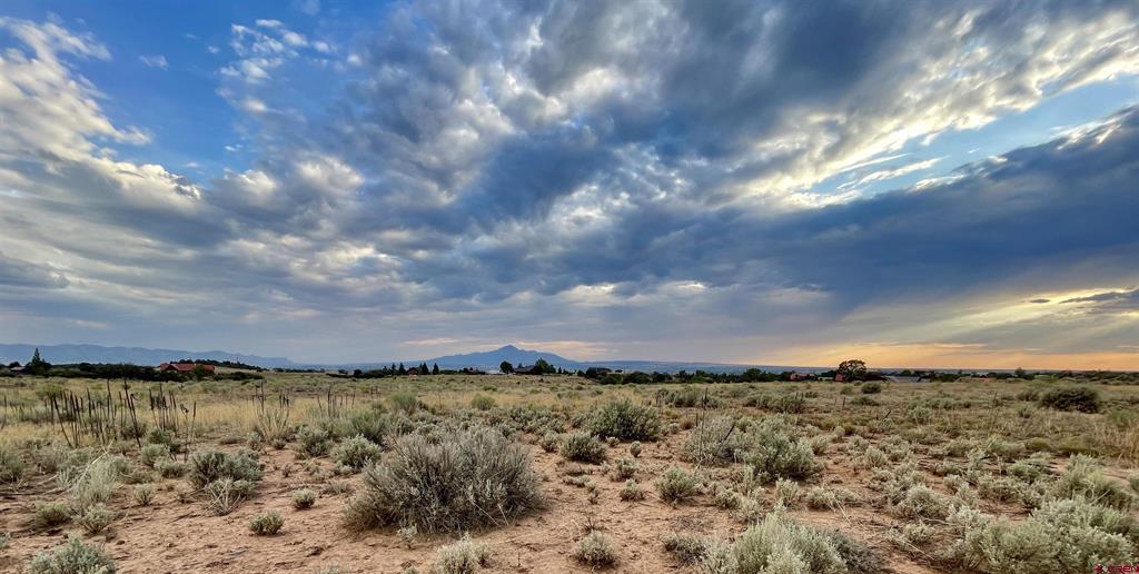 TBD Lot 1 Road 26.4 Dolores, CO 81323