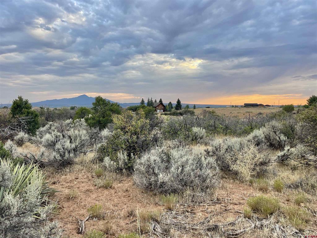 TBD Lot 12 Road 26.4 Dolores, CO 81323