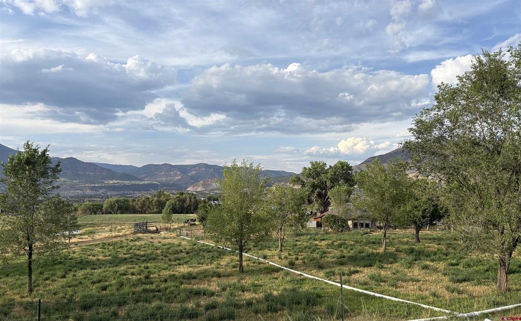 41675 O Road Paonia, CO 81428