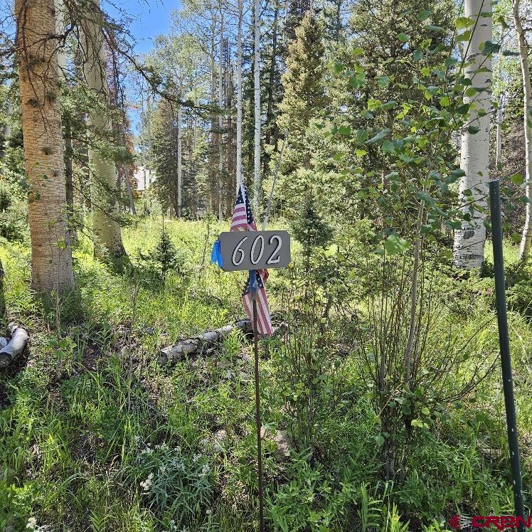 602 Snowshoe Lane Cimarron, CO 81220