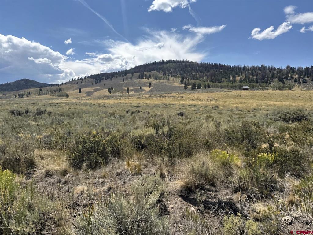 100 Monarch Road Powderhorn, CO 81243