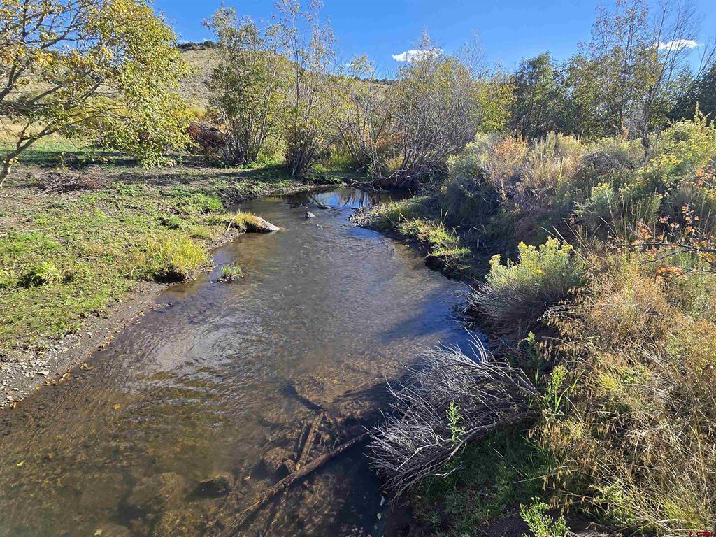 Lot 20, Blk 6 La Jara Creek Acres La Jara, CO 81140