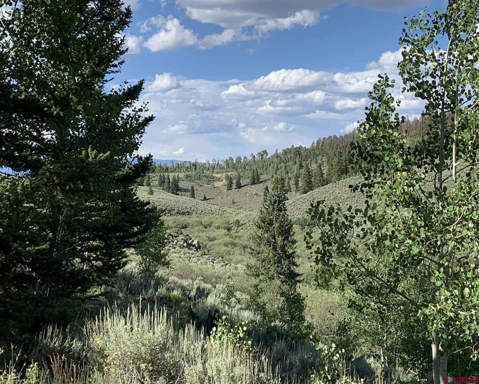 166 & 218 Blue Mesa Drive Powderhorn, CO 81243