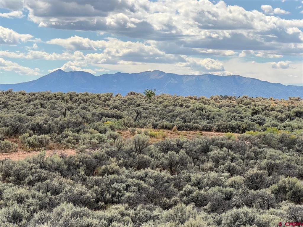 (TBD) ROAD C Dove Creek, CO 81324