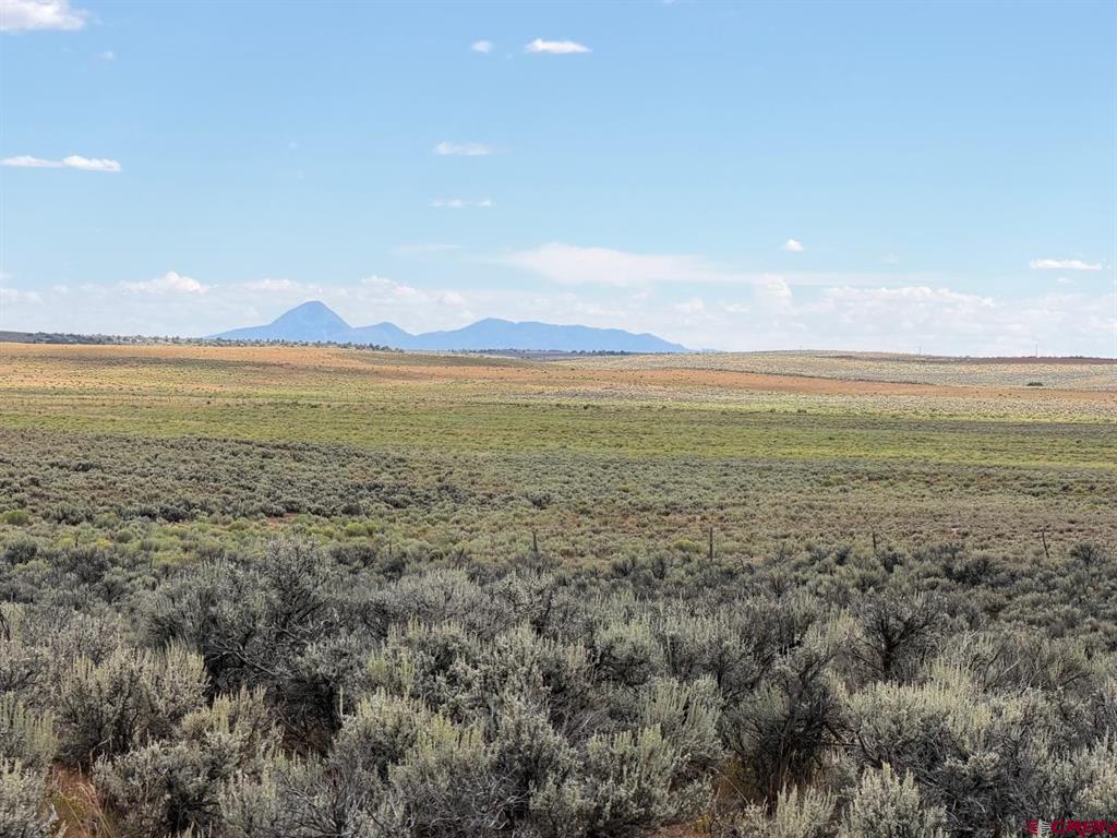 (TBD) ROAD C Dove Creek, CO 81324