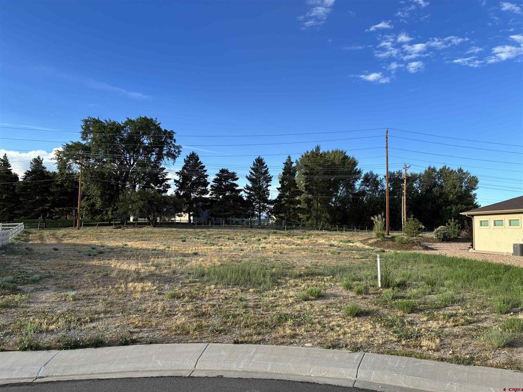 (TBD) Keller Court Montrose, CO 81401
