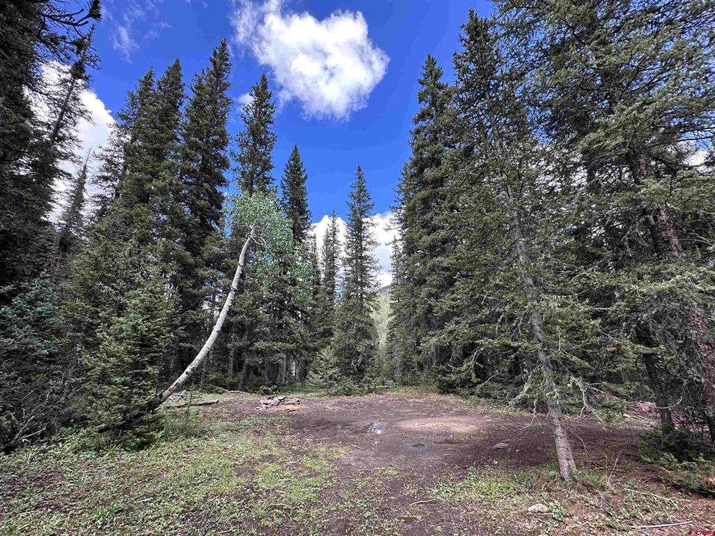 Lot 2 Overland Estates, CR 110 Silverton, CO 81433