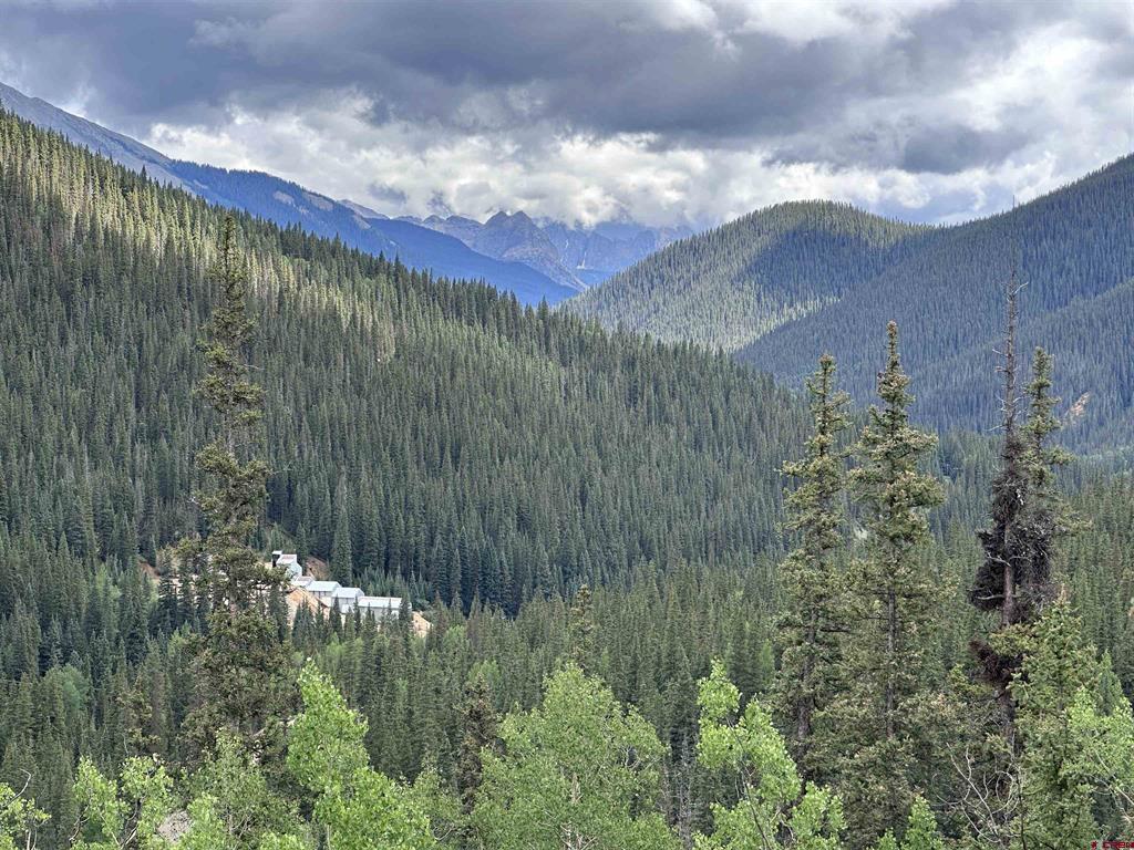 Lot 4 Overland Estates, CR 110 Silverton, CO 81433