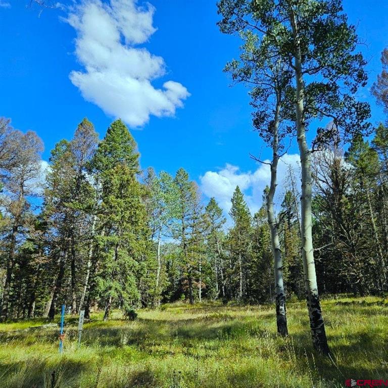 282 Aspen Trail Cimarron, CO 81220