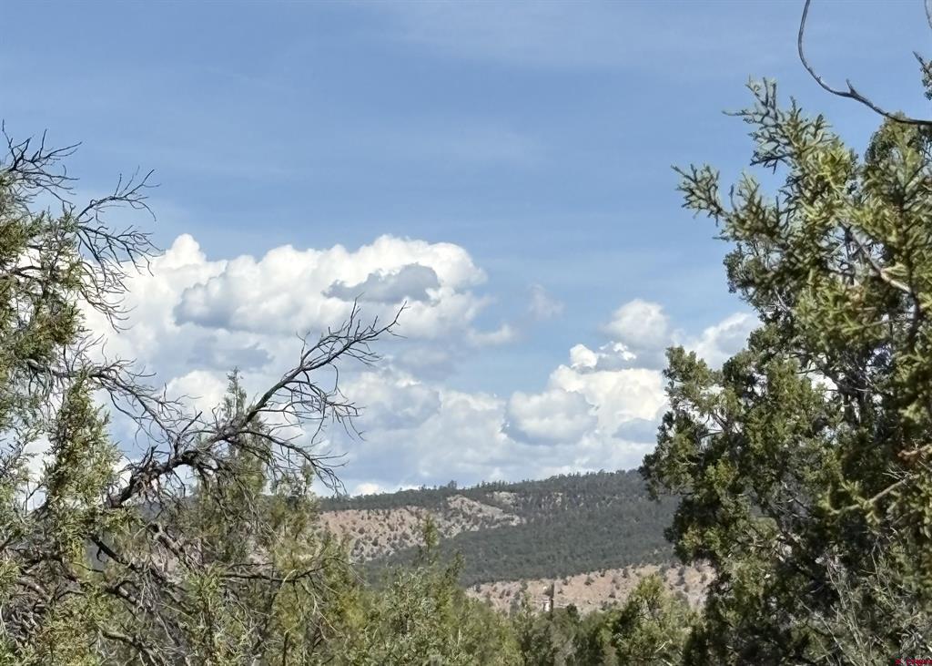 150 Deer Park Arboles, CO 81121