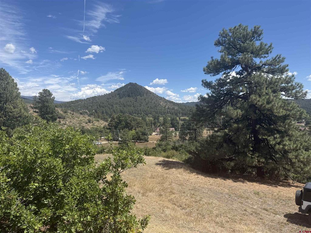 1134 Ludwig Drive Bayfield, CO 81122