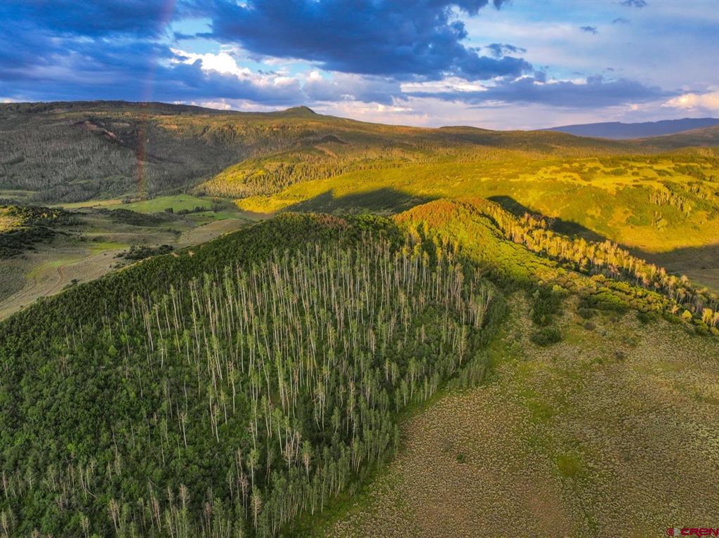 (TBD) CR 849 Somerset, CO 81434