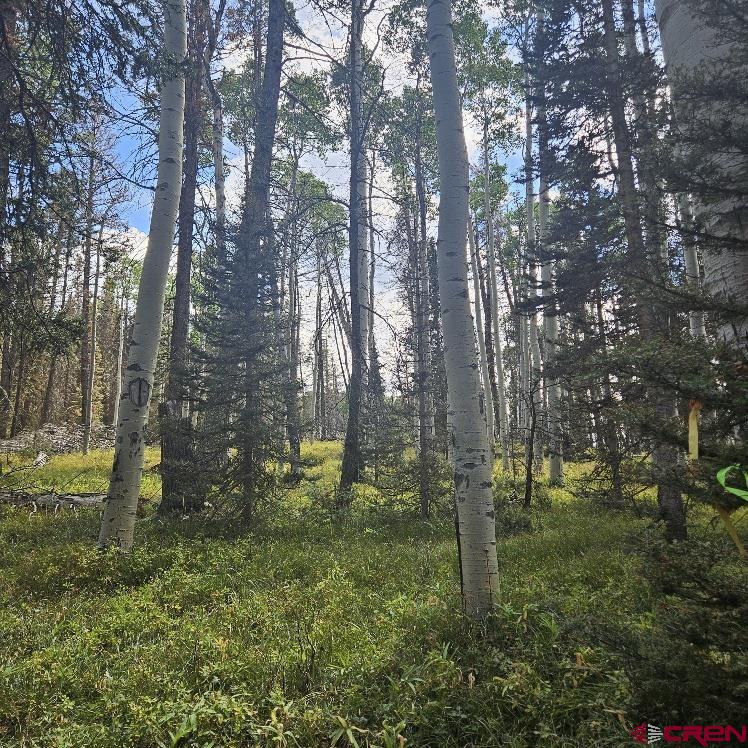 155 Aspen Trail Cimarron, CO 81220