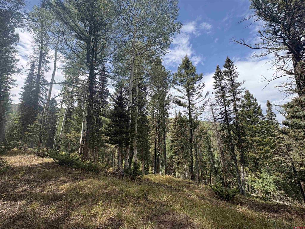 425 Rim Road Cimarron, CO 81220