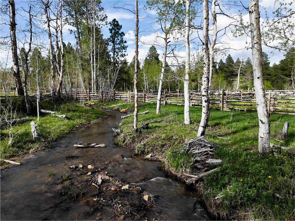 44500 Ditches Road Mancos, CO 81328