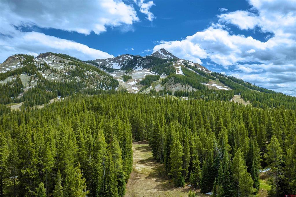 E29 Prospect Drive Mount Crested Butte, CO 81225