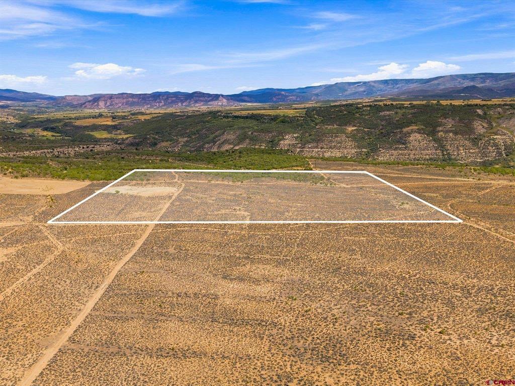 40 Acres To Be Determined Mesa, CO 81643