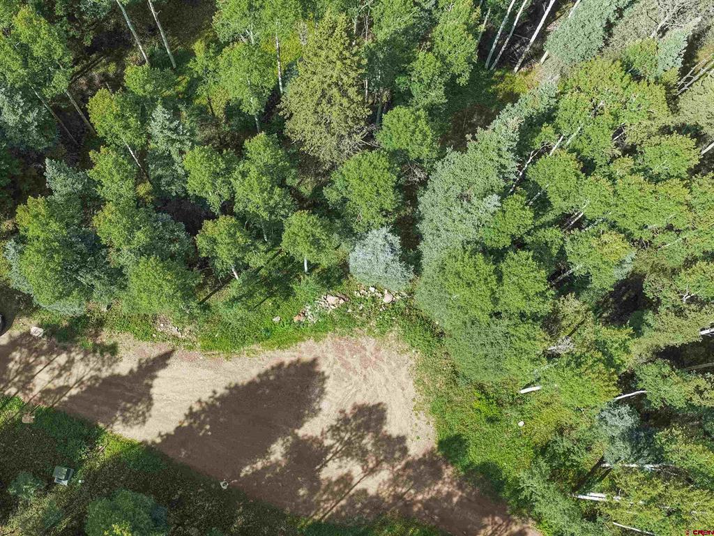 (TBD) Road 55.9 Lot 3 Rico, CO 81332