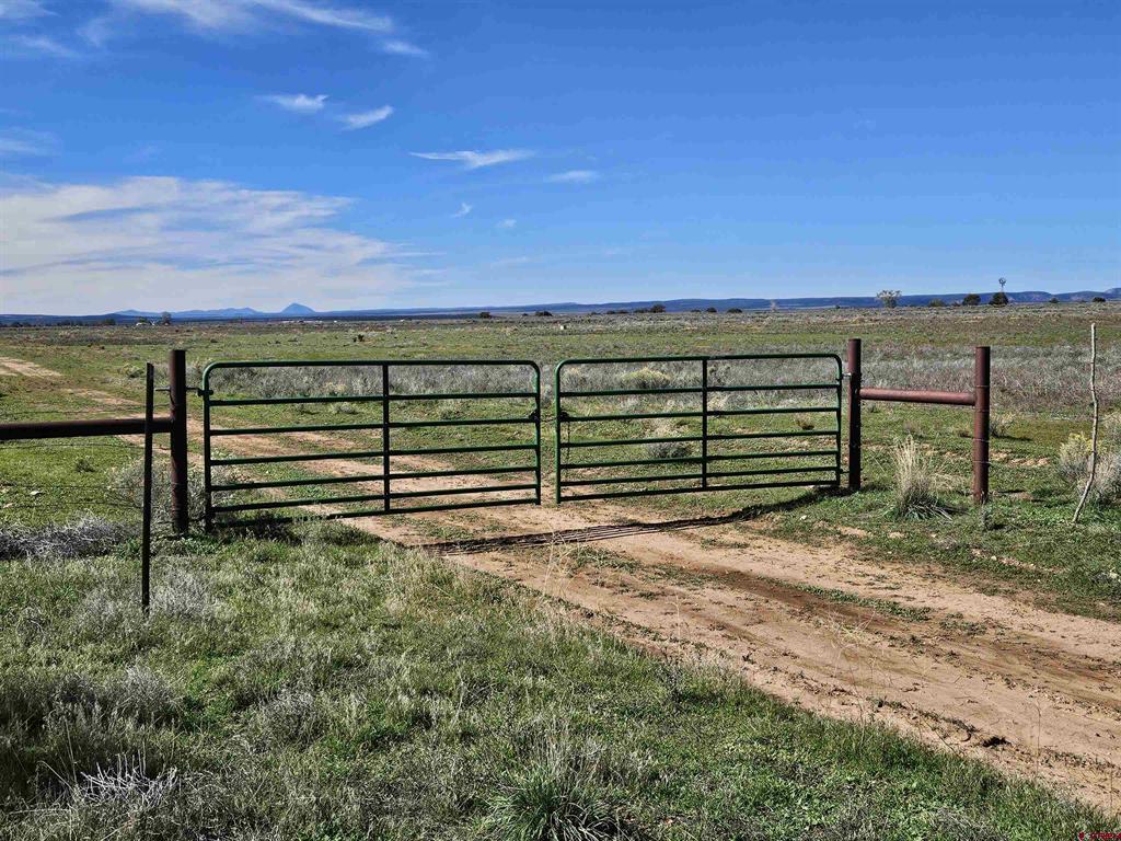 (TBD) County Road 131 Hesperus, CO 81326