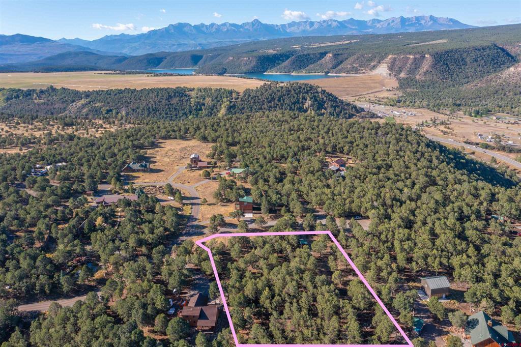 (TBD) Pinon Ridgway, CO 81403