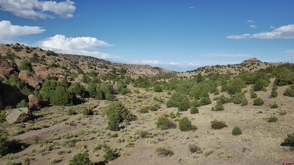 (TBD) Nicmodes Road Monte Vista, CO 81144