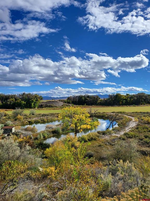 55347 (ALL) Begonia (all acreage) Road Olathe, CO 81425