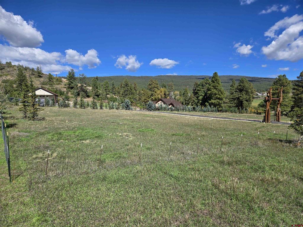 Lot 33 Pine River Ranch Circle Bayfield, CO 81122