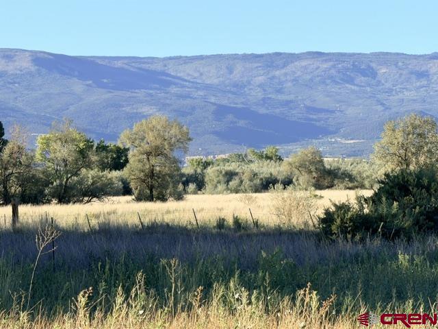 Lot 9 Lahabra Drive Austin, CO 81410