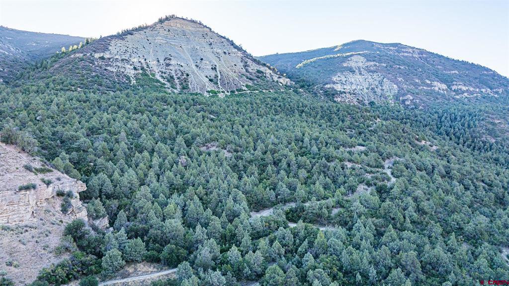 (TBD) Hubbard Creek Paonia, CO 81428