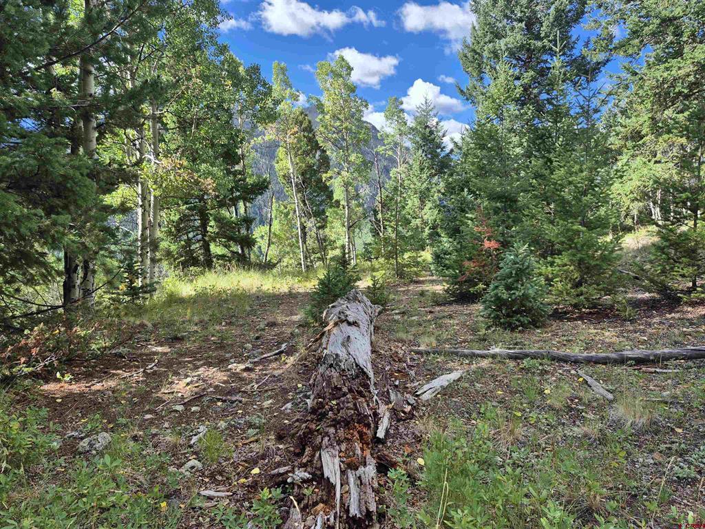 Blk 89 Lots 4-6 Jasper, CO 81144