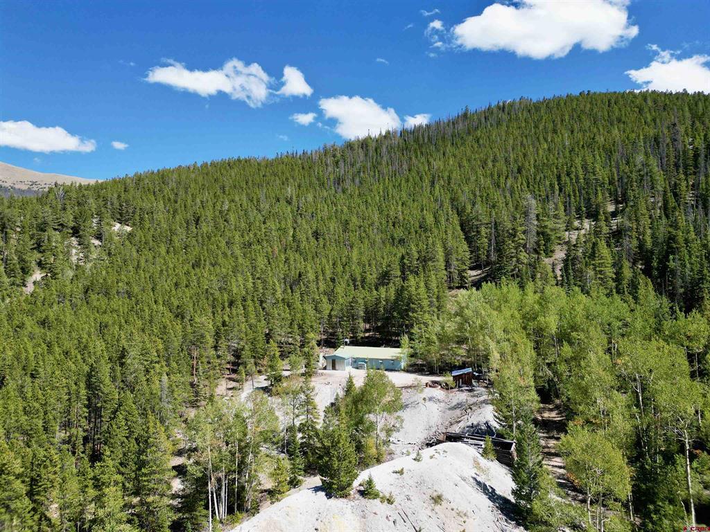 840 Forest Service Road 890 White Pine, CO 81230