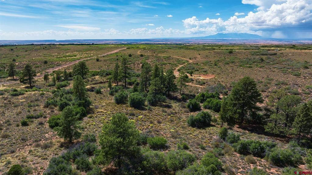 (TBD) Road 9.4 Dove Creek, CO 81324