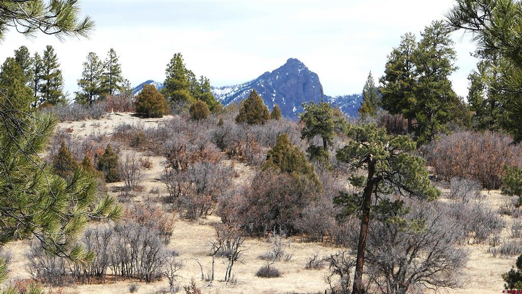 673 Spring Creek Circle Chromo, CO 81128