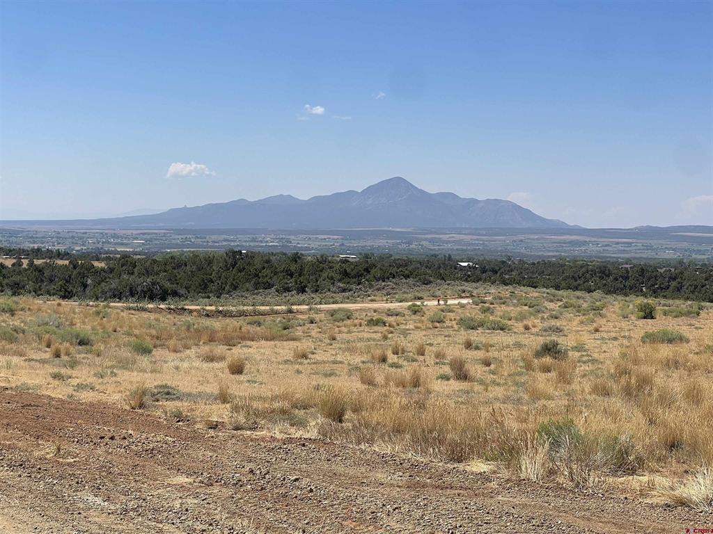 Lot 5 Road 25 Dolores, CO 81323