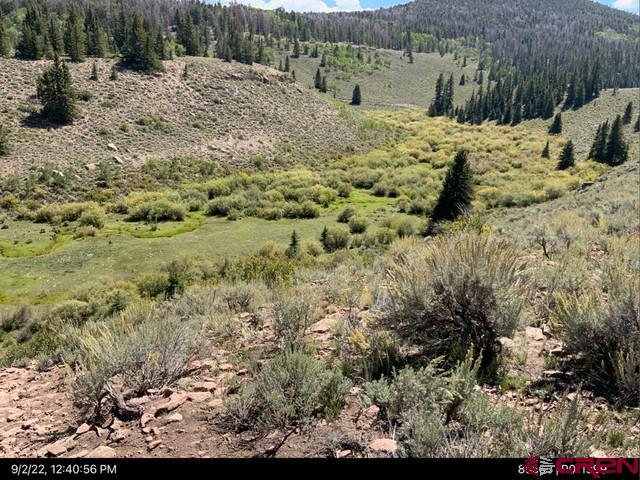 (TBD) Sandy Road Powderhorn, CO 81243