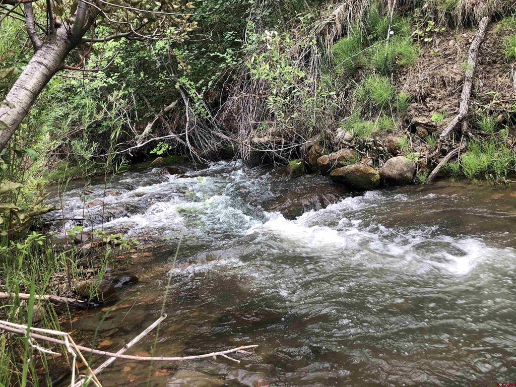 (TBD) County Road 710 Paonia, CO 81428