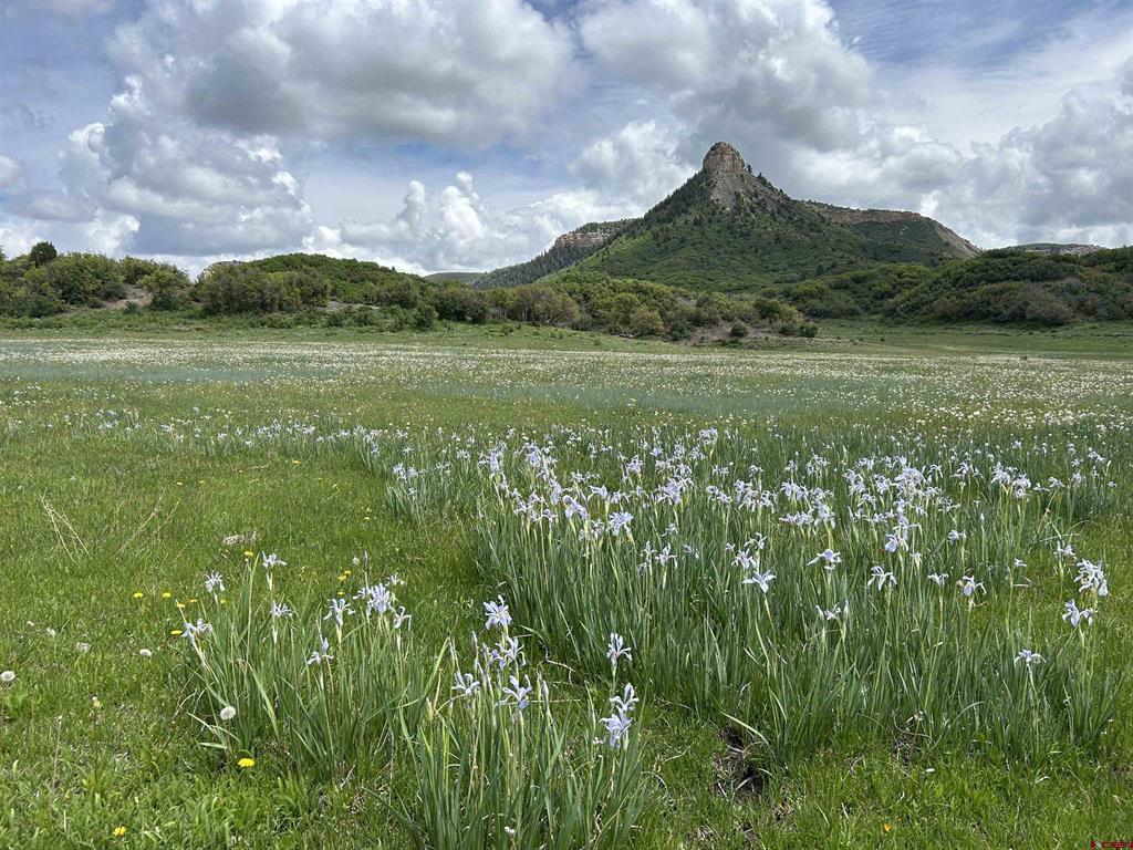 Lot 77 Road 29.8 Cahone, CO 81320