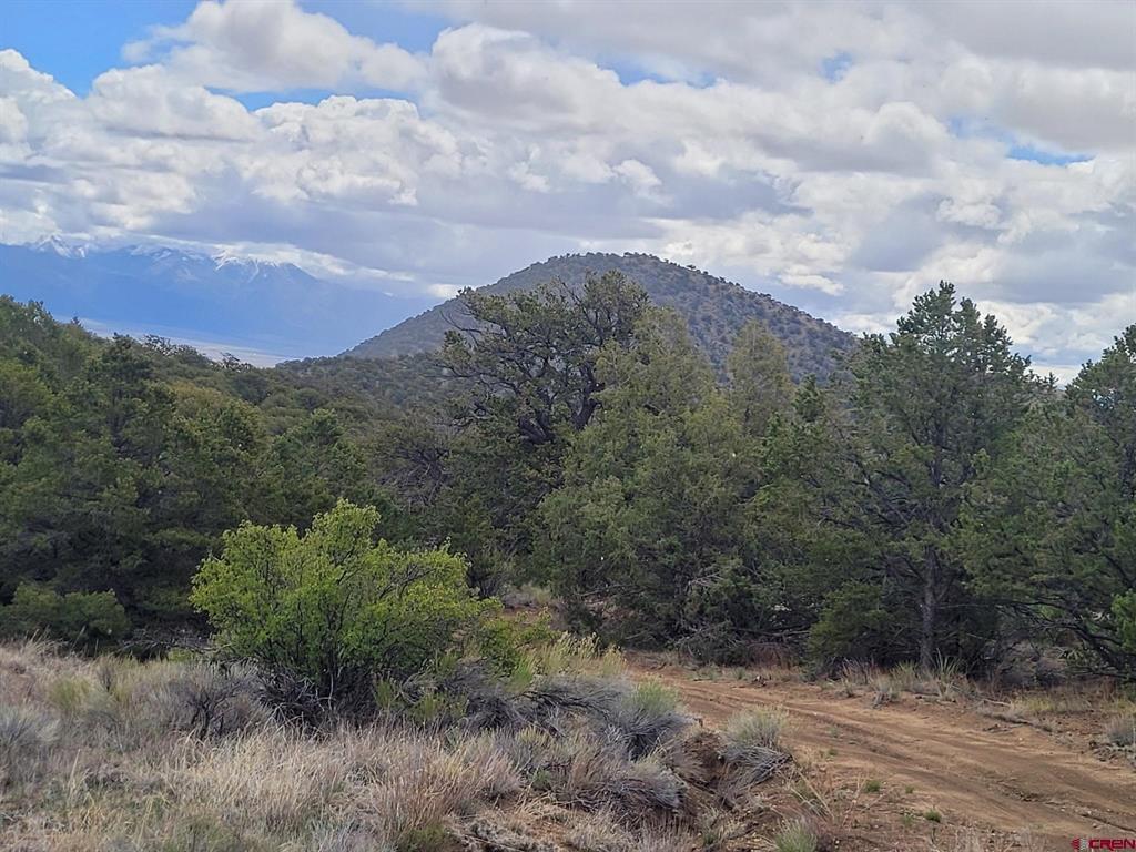 (TBD) HWY 285 Highway Saguache, CO 81149