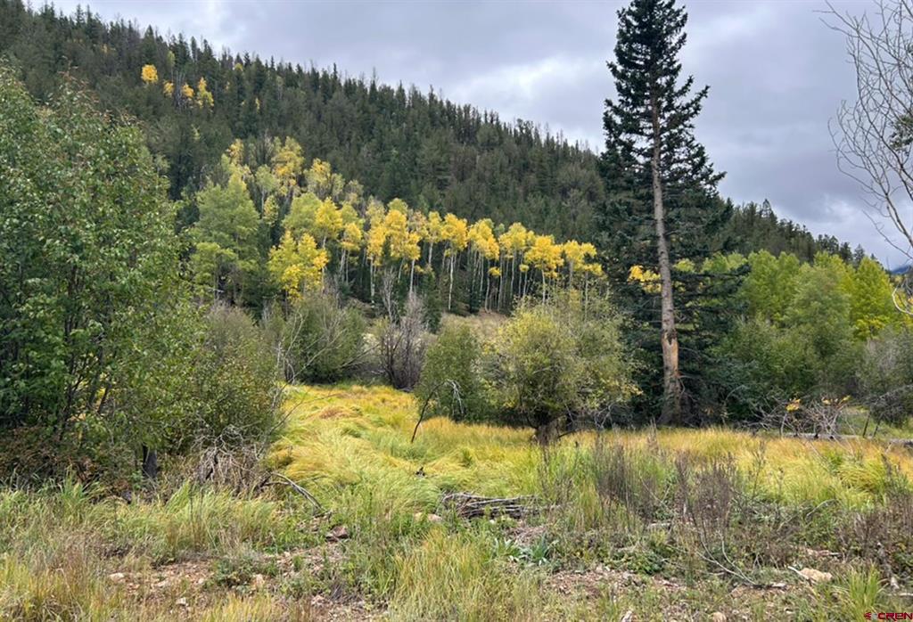 (TBD) 1ST AVENUE Bonanza, CO 81155