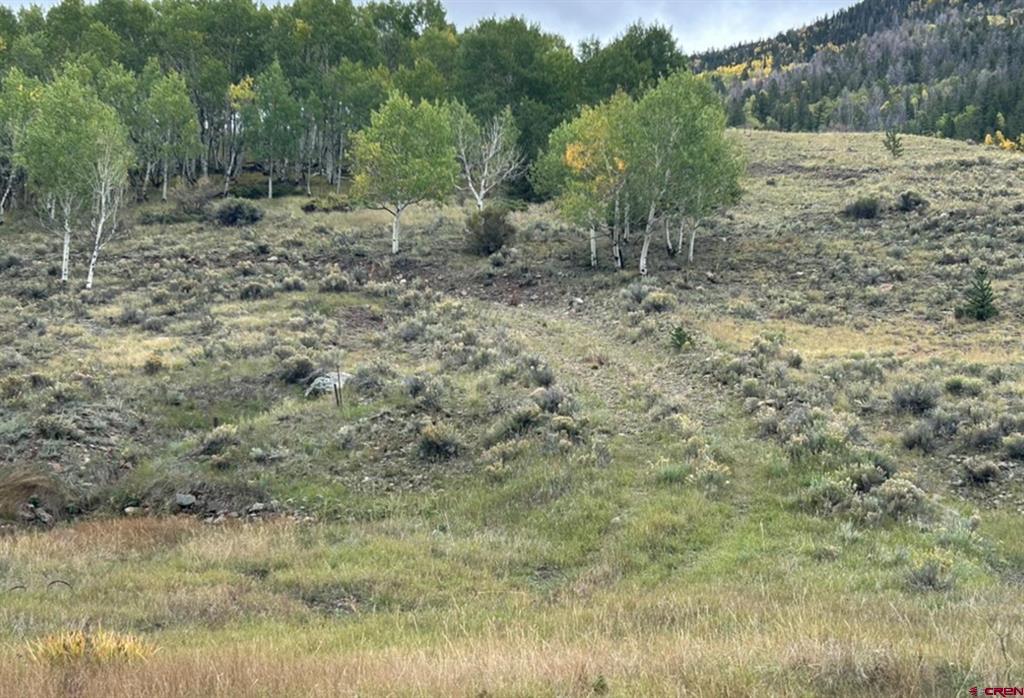 (TBD) MAIN STREET Bonanza, CO 81155