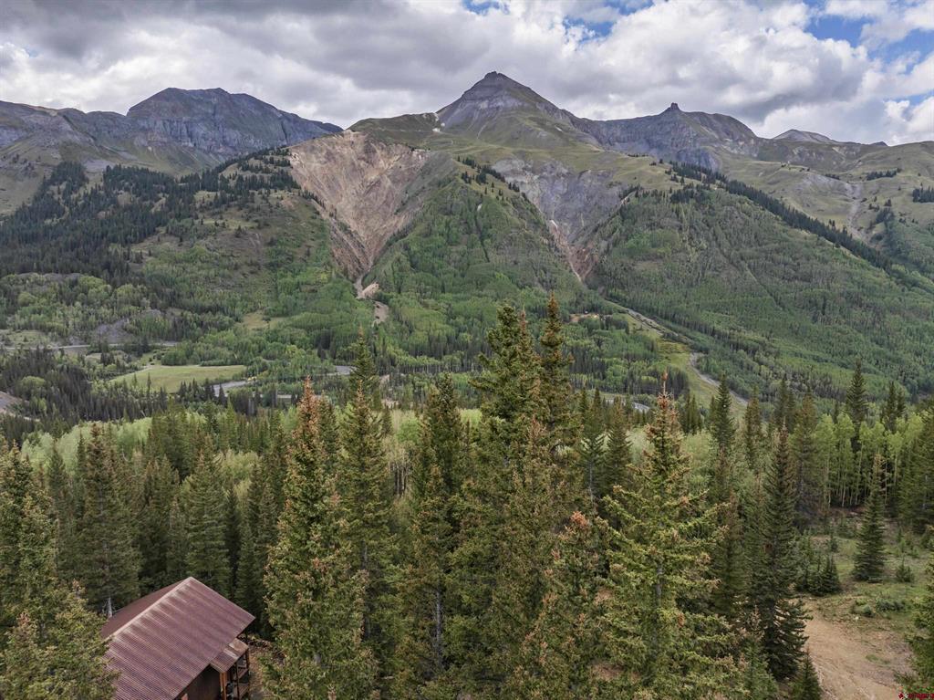 165 Guston Trail Ouray, CO 81427