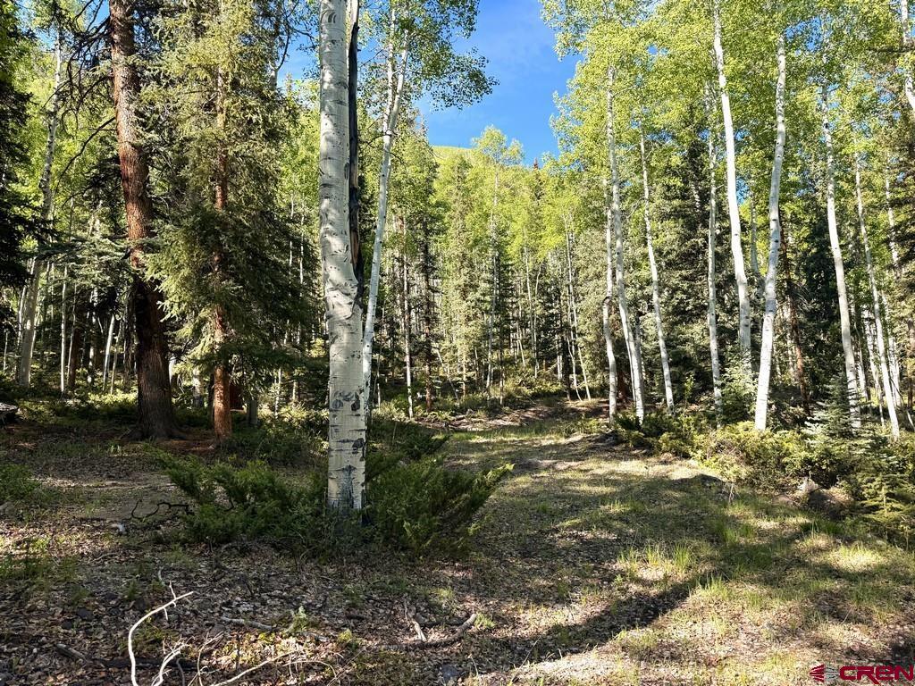 20 Alpine Vista Way Lake City, CO 81235