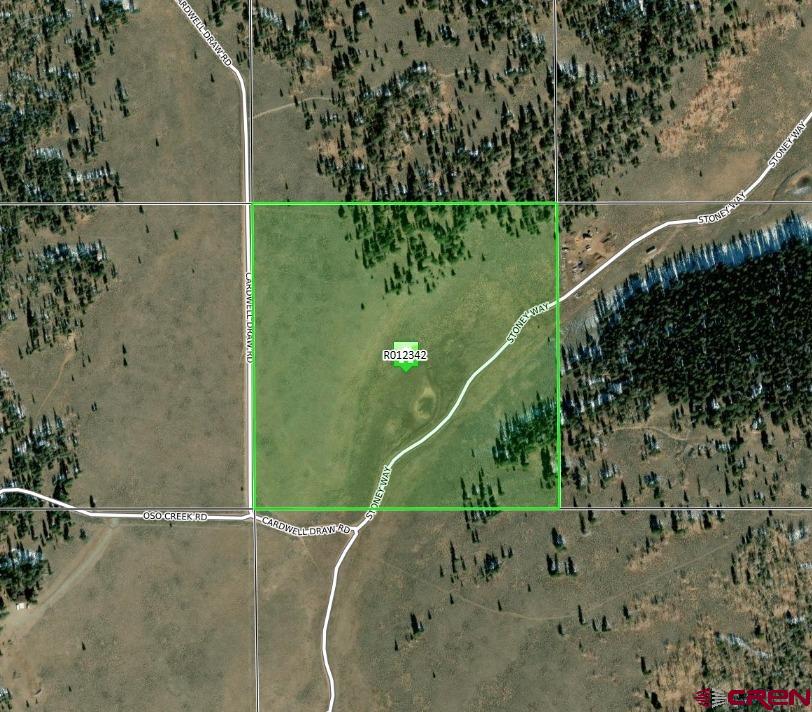 (TBD) Stoney Way Powderhorn, CO 81243