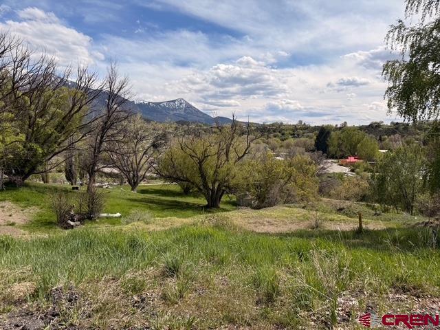 Lot 33 Box Elder Drive Paonia, CO 81428