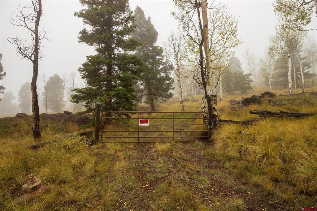 210 Kebler Trail Powderhorn, CO 81243