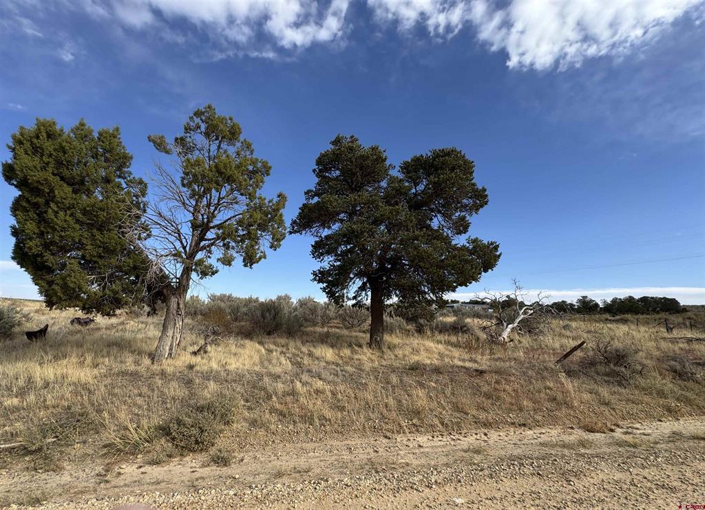 12040 Road N Cahone, CO 81320