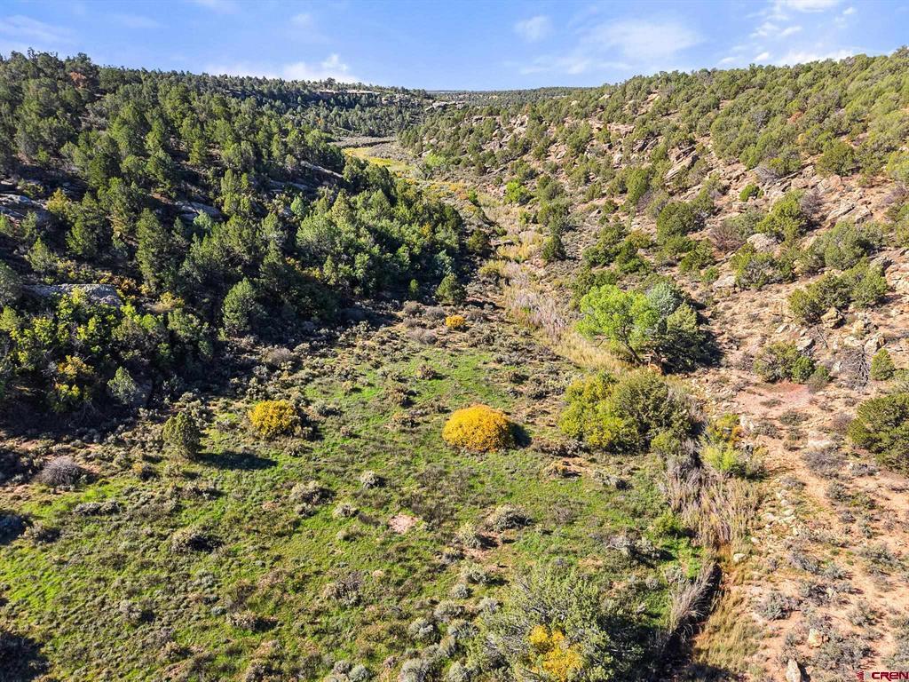 11485 County Road 4 Dove Creek, CO 81324