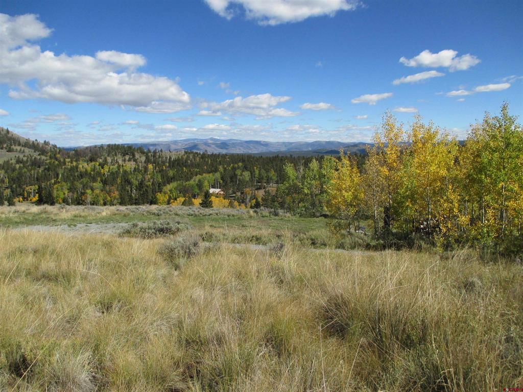 44 Gothic Trail Powderhorn, CO 81243