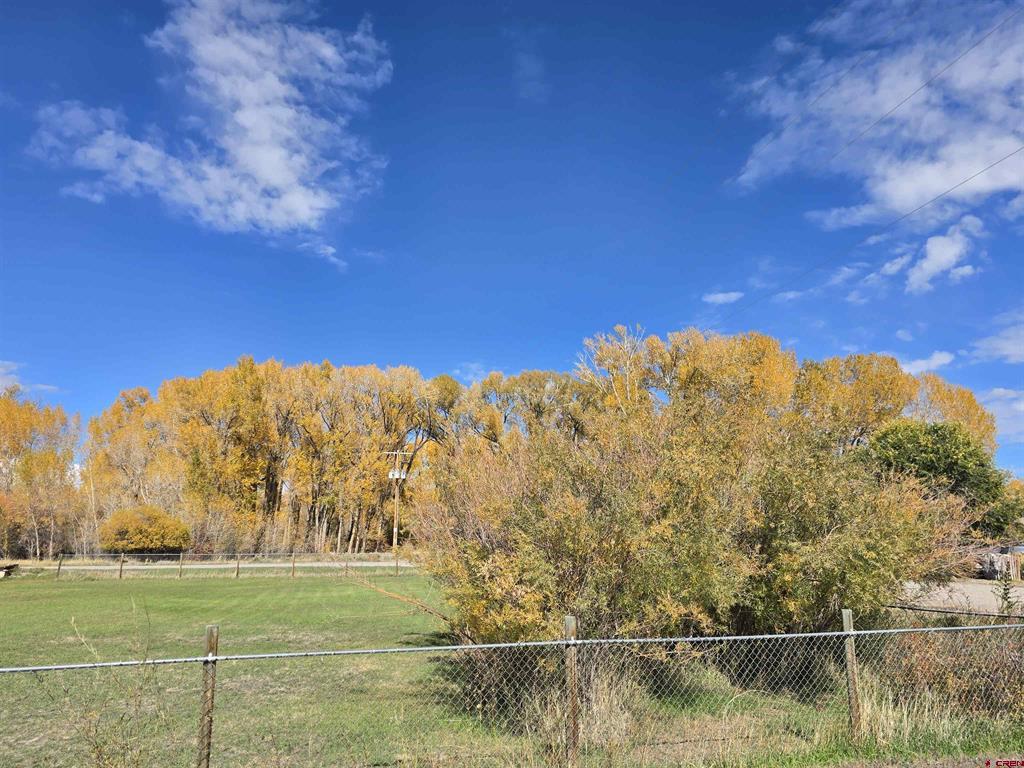 1035 2nd Street Del Norte, CO 81132