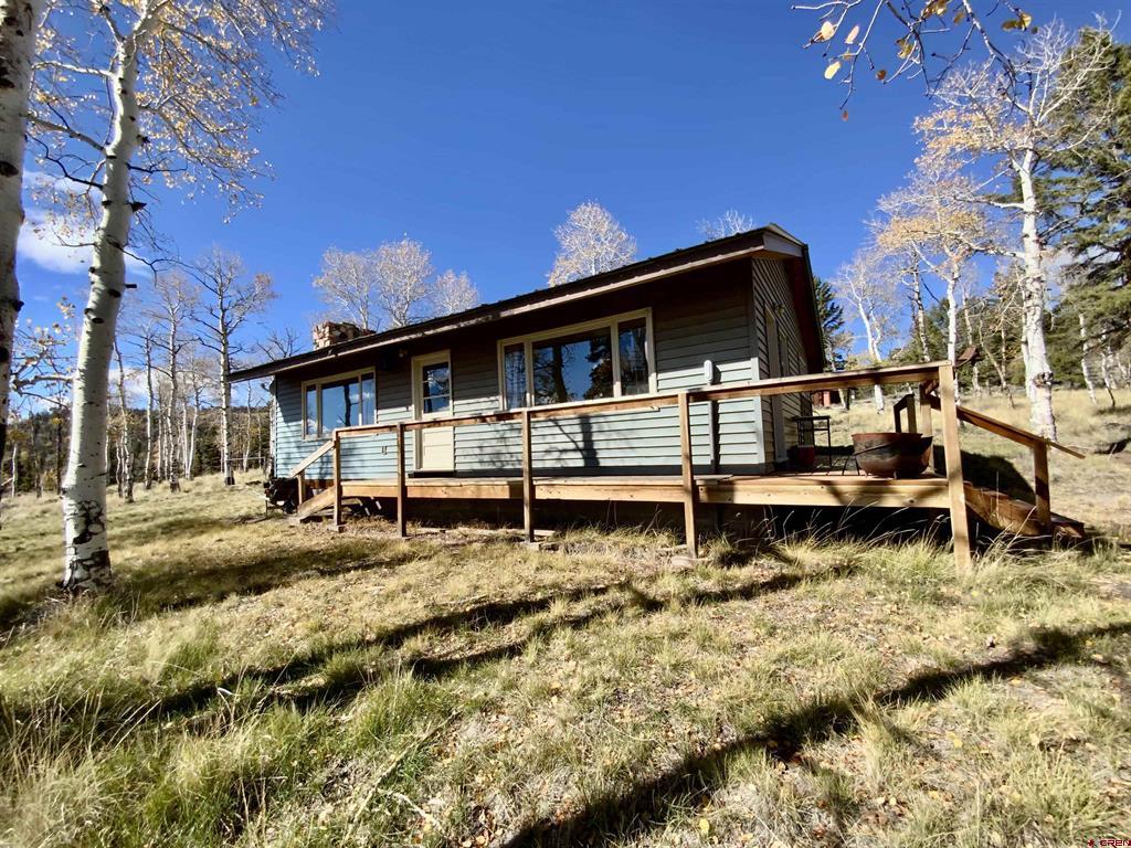 4538 Blue Mesa Drive Powderhorn, CO 81243